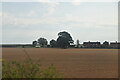 Farmland, Beechingstoke