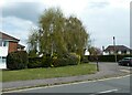 Looking from The Garstons into Lower Road