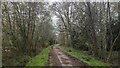 Bridleway through Royal Common