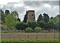 Branton Mill - seen across the M18 motorway