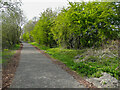 On the Trans-Pennine Trail, Barnsley