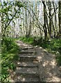 TR2653 : Steps up to Nooketts Wood, Chillenden by pam fray