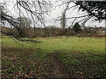 SP2866 : Land behind the former Ridgeway School, Montague Road, Warwick by Robin Stott