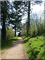 Impey Walk, Knightshayes Court (4)