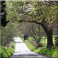 SO8589 : Enville Common Road south-west of Swindon, Staffordshire by Roger  D Kidd