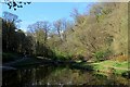 Small Lake in Sunnyhurst Wood