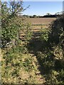 Old disused gate