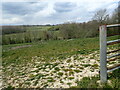 Footpath to Bevingford