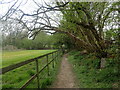 The Wealdway near Buxted