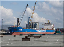 J3576 : The 'Jin Zhu Hai' at Belfast by Rossographer