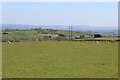 Field on the east of Brynygwenin