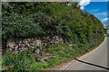 Whipping Post, Great Gate Near Croxdon