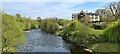 River Wharfe from Wetherby Bridge