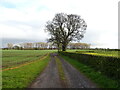 Track to Grange Cottages