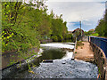 Weir on the River Irk