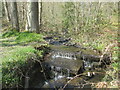 Stream in Smeekley Wood