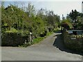 Footpath from Scar Head