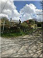 Footpath and track