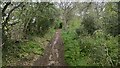 Footpath south of Taplow