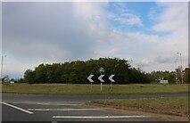 TF6203 : Roundabout on the A10, Downham Market by David Howard