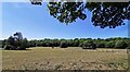 TQ5501 : Grazing Land near Jevington by PAUL FARMER