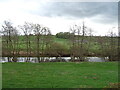 The River Eden near Warcop