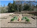 SE8675 : Rhubarb in the vegetable garden, Scampston Walled Garden by Christine Johnstone