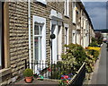 Houses on Lynwood Avenue, Darwen