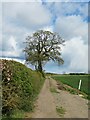 Path towards Murky Hill