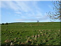 NY7408 : Hillside grazing near Waitby by JThomas
