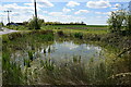 Pond by Coombe Farm Lane