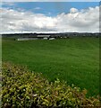 View to East Tarbrax Farm