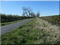 Lane heading north-west to East Heslerton Wold