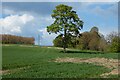 Farmland, Thatcham