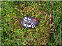 SX8457 : "Be kind", Hoyle Copse by Derek Harper