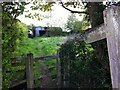 Footpath from Wall Hill Road to Tidbury Castle Farm, Wall Hill