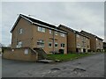 Houses on Thorp Garth