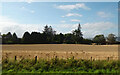 Cereal crop, Laurencekirk