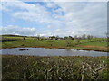 Tilekiln Ponds near Lookingflatt Farm