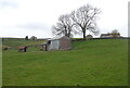 Farm buildings, Arkle Town