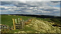 Manifold Trail northeast of Nield Bank, Flash