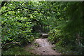 Footbridge, Tandridge Border Path