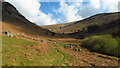 Path at the foot of Cwm Glan-hafon near Llangynog