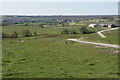 Track to Dryhurst Farm