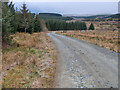 NT0013 : Forestry track near Beattock Summit by wrobison