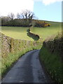 Road south out of Llanfihangel-y-Creuddyn