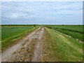 Embanked track towards seawall, Bradwell