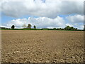 Recently-ploughed field