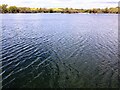 Ripples on the water at Rushden Lakes