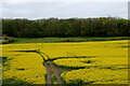 View towards Preston Hill